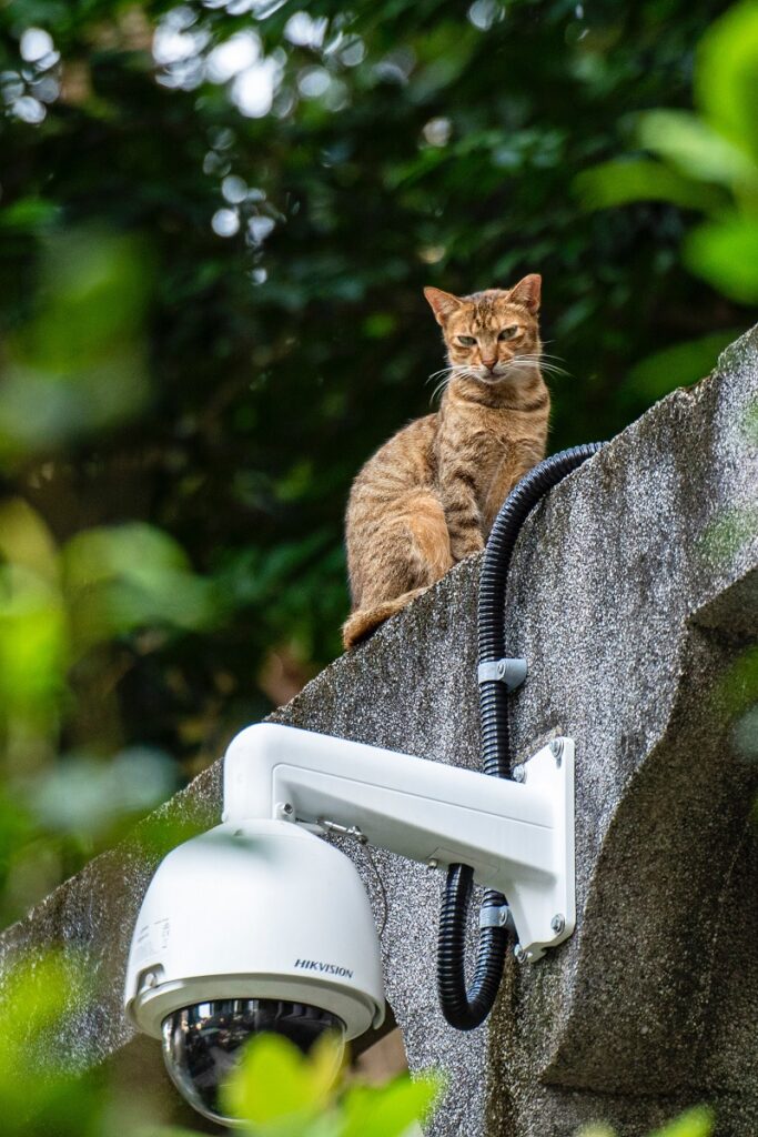 CCTV Tidak Bisa Online Jarak Jauh